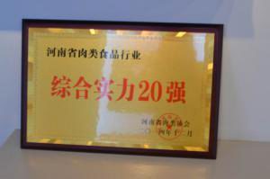 16.河南省肉類(lèi)食品行業(yè)綜合實(shí)力20強2014.12